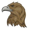 Eagle. Vector illustration of a soaring bald eagle. National symbol of the usa Royalty Free Stock Photo