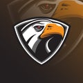 Eagle vector mascot logo design with modern illustration concept style for badge, emblem and tshirt printing. eagle head Royalty Free Stock Photo