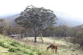 Eagle View Escape Lake Lyell