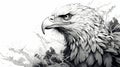 Highly Detailed Black And White Eagle Illustration With Splatters