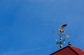 Eagle weather vane Royalty Free Stock Photo