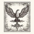 Vintage Engraved Style Eagle Vector Illustration With God Rays