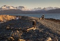 Eagles on an Alaskan Beach