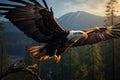 Eagles flight showcases its majestic presence with outspread wings Royalty Free Stock Photo