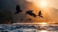 Eagles flying out of water and hovering at dawn Royalty Free Stock Photo