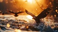 Eagles flying out of water and hovering at dawn Royalty Free Stock Photo