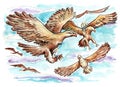 Eagles flying on the sky. Fantasy scene