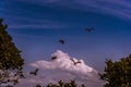 Eagles hunting under a blue sky with some clouds Royalty Free Stock Photo