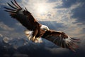 Eagles metamorphic ascent, soaring high above the ethereal clouds