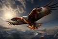 Eagles metamorphic ascent, soaring high above the ethereal clouds