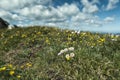 Eagles Nest Wilderness, Colorado Royalty Free Stock Photo