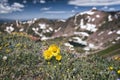 Eagles Nest Wilderness, Colorado Royalty Free Stock Photo