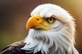 Eagles, sky predators, close-up photos.Generated ai.