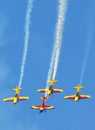 Eagles tricyclic fly in formation Royalty Free Stock Photo