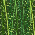 Eamless bamboo pattern background. Green bamboo wallpaper Royalty Free Stock Photo