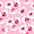 Eamless pattern pink watercolor flowers Royalty Free Stock Photo