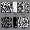 Eamless pattern set of wild african animals for design and decoration Royalty Free Stock Photo