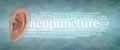 Ear Acupuncture Word Cloud banner