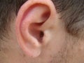 Ear