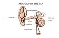 EAR