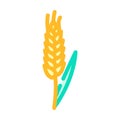 ear barley cereal color icon vector illustration Royalty Free Stock Photo