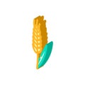 ear barley cereal isometric icon vector illustration Royalty Free Stock Photo