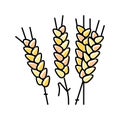 ear barley color icon vector illustration Royalty Free Stock Photo