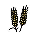 ear barley grain color icon vector illustration Royalty Free Stock Photo