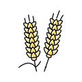 ear barley grain color icon vector illustration Royalty Free Stock Photo