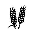 ear barley grain line icon vector illustration Royalty Free Stock Photo