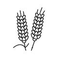 ear barley grain line icon vector illustration Royalty Free Stock Photo
