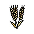 ear barley harvest color icon vector illustration Royalty Free Stock Photo