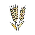 ear barley harvest color icon vector illustration Royalty Free Stock Photo