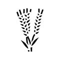 ear barley harvest glyph icon vector illustration Royalty Free Stock Photo