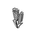 ear barley harvest isometric icon vector illustration Royalty Free Stock Photo