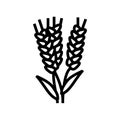 ear barley harvest line icon vector illustration Royalty Free Stock Photo