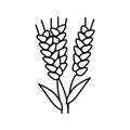 ear barley harvest line icon vector illustration Royalty Free Stock Photo