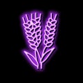 ear barley harvest neon glow icon illustration Royalty Free Stock Photo