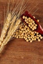 Ear of barley and soy beans background Royalty Free Stock Photo