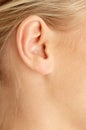 Ear of blond Royalty Free Stock Photo