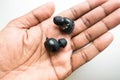 Ear buds Royalty Free Stock Photo