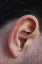 Ear Royalty Free Stock Photo