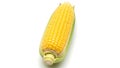 An ear of corn on the cob (ai generated) Royalty Free Stock Photo