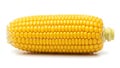 An ear of corn on the cob (ai generated) Royalty Free Stock Photo