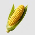 Ear of corn, corn cob isolated on transparent background Royalty Free Stock Photo