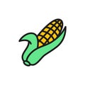 Ear of corn, corncob, vegetable flat color icon.