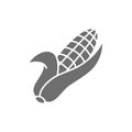 Ear of corn, corncob, vegetable grey icon.