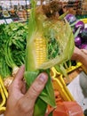 Ear of corn in the hand of the buyer in the store close-up.