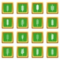 Ear corn icons set green Royalty Free Stock Photo