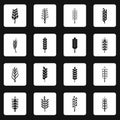 Ear corn icons set squares vector Royalty Free Stock Photo